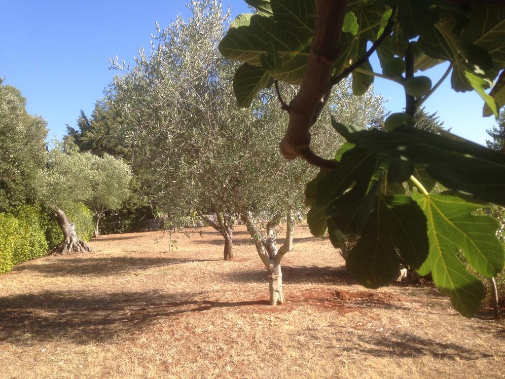 Villa Trullo Picchiagiuda Ostuni Exterior foto