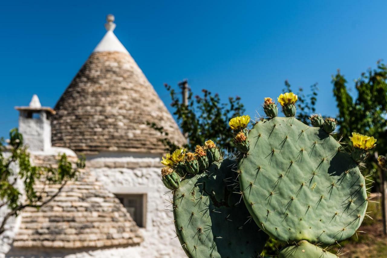 Villa Trullo Picchiagiuda Ostuni Exterior foto